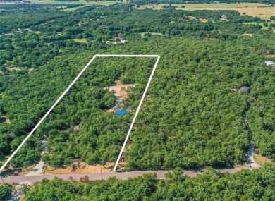 Lake Ray Roberts Acreage For Sale in Valley View Texas