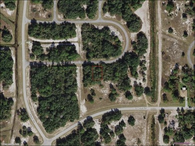 Lake Marion - Polk County Lot Sale Pending in Poinciana Florida
