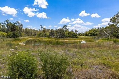 Escape the hustle and bustle with this private 10-acre AG-2 - photo 29