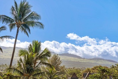 HOTEL ZONING! Enjoy spectacular ocean views from BOTH sides of - photo 34