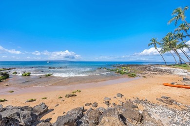 HOTEL ZONING! Enjoy spectacular ocean views from BOTH sides of - photo 35