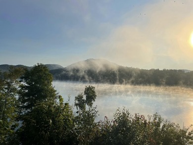 Beautiful Brant Lake Quintessential Adirondack lakefront living - photo 42