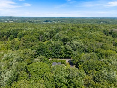 Historic charm meets modern conveniences in this stunning, fully - photo 49