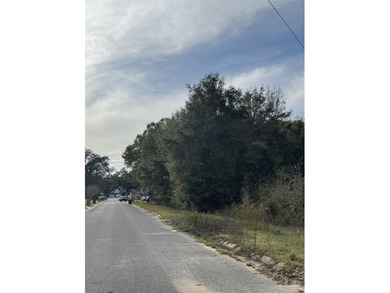 Great opportunity to build your dream home on this spacious - photo 3