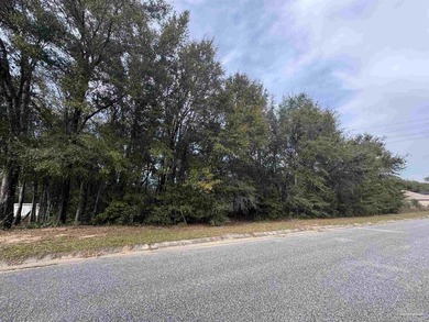 Great opportunity to build your dream home on this spacious - photo 4