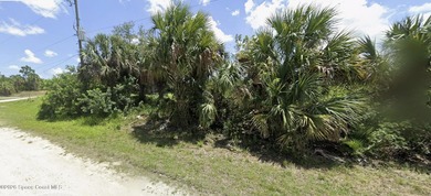 Build your dream home on this spacious vacant lot located at 615 - photo 2