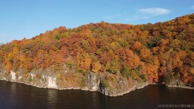 Lake Acreage For Sale in Gravois Mills, Missouri