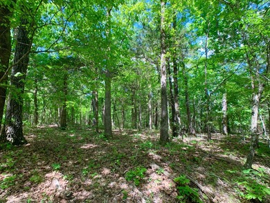 This spectacular lakefront gem near Shell Knob and Emerald Beach - photo 11