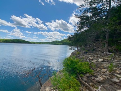 This spectacular lakefront gem near Shell Knob and Emerald Beach - photo 14