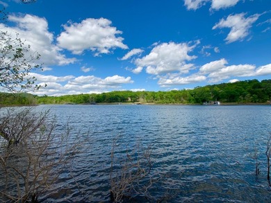 This spectacular lakefront gem near Shell Knob and Emerald Beach - photo 17