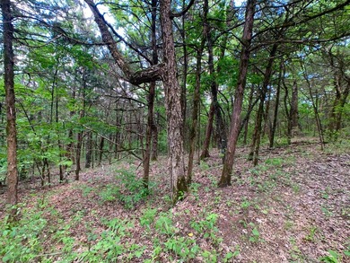This spectacular lakefront gem near Shell Knob and Emerald Beach - photo 19