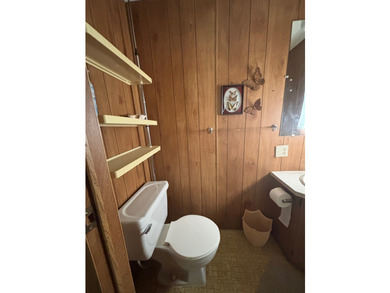 Toledo Bend Lake Getaway! This 3 bedroom, 2 bath home in - photo 19