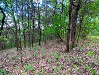 This spectacular lakefront gem near Shell Knob and Emerald Beach - photo 20