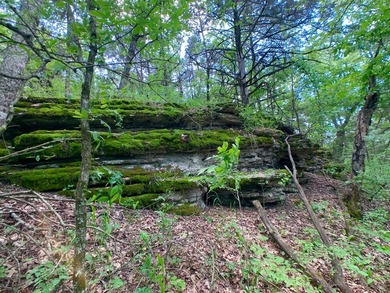 This spectacular lakefront gem near Shell Knob and Emerald Beach - photo 21