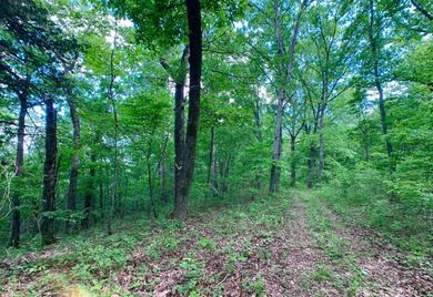 This spectacular lakefront gem near Shell Knob and Emerald Beach - photo 22