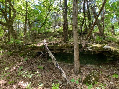This spectacular lakefront gem near Shell Knob and Emerald Beach - photo 23