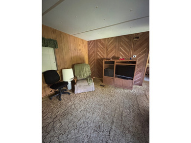 Toledo Bend Lake Getaway! This 3 bedroom, 2 bath home in - photo 24