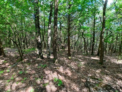 This spectacular lakefront gem near Shell Knob and Emerald Beach - photo 27