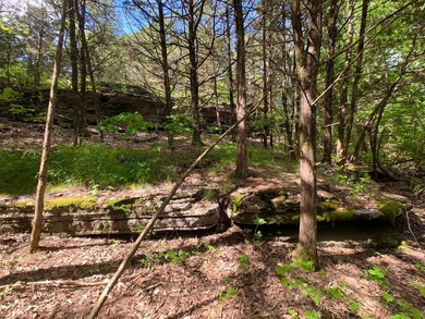 This spectacular lakefront gem near Shell Knob and Emerald Beach - photo 28