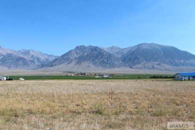 Lake Acreage For Sale in Mackay, Idaho