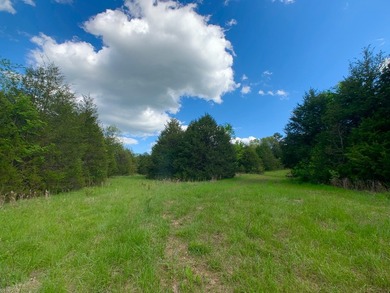 This spectacular lakefront gem near Shell Knob and Emerald Beach - photo 34