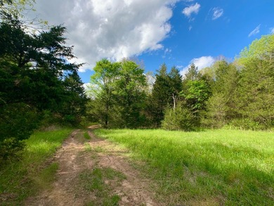 This spectacular lakefront gem near Shell Knob and Emerald Beach - photo 35