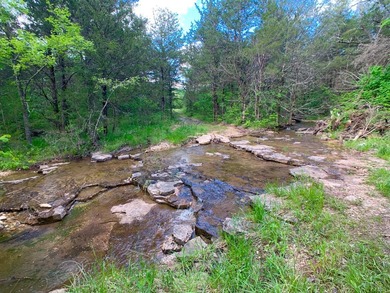 This spectacular lakefront gem near Shell Knob and Emerald Beach - photo 36