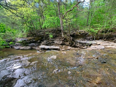 This spectacular lakefront gem near Shell Knob and Emerald Beach - photo 38