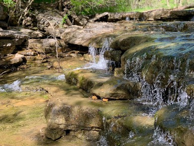 This spectacular lakefront gem near Shell Knob and Emerald Beach - photo 40