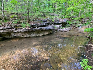 This spectacular lakefront gem near Shell Knob and Emerald Beach - photo 41
