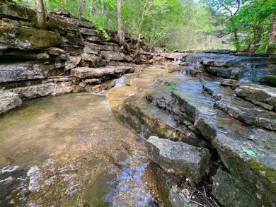 This spectacular lakefront gem near Shell Knob and Emerald Beach - photo 42
