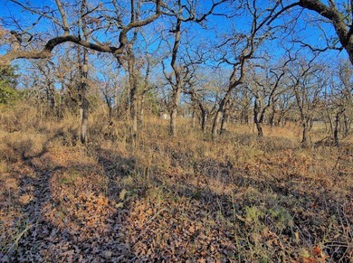Experience the peaceful lifestyle of Nocona Hills with this - photo 4