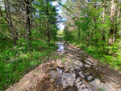 This spectacular lakefront gem near Shell Knob and Emerald Beach - photo 45