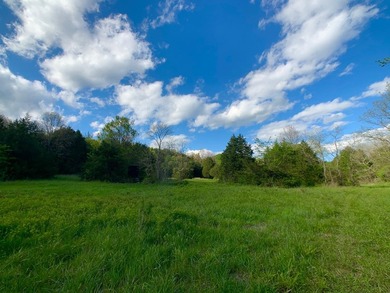 This spectacular lakefront gem near Shell Knob and Emerald Beach - photo 46