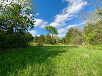 This spectacular lakefront gem near Shell Knob and Emerald Beach - photo 47