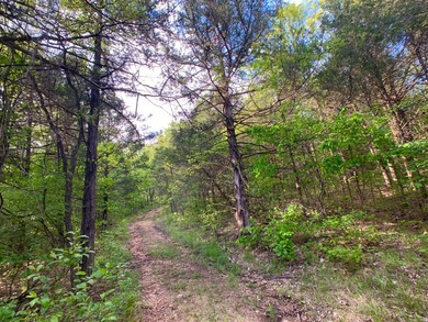 This spectacular lakefront gem near Shell Knob and Emerald Beach - photo 48