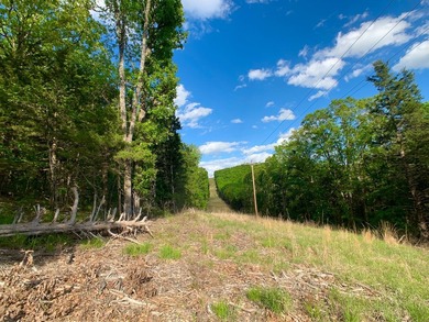 This spectacular lakefront gem near Shell Knob and Emerald Beach - photo 49