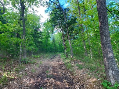 This spectacular lakefront gem near Shell Knob and Emerald Beach - photo 50