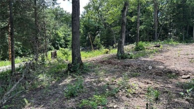 Lake Lot For Sale in Lincoln, Missouri