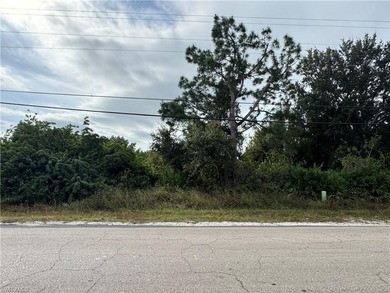 Lehigh Acres Area Lot For Sale in Lehigh Acres Florida