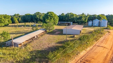 750+/- acre multi-generational farm in Clay County, Georgia - photo 4