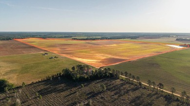 750+/- acre multi-generational farm in Clay County, Georgia - photo 6
