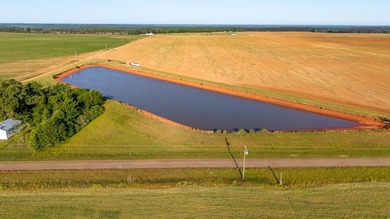 750+/- acre multi-generational farm in Clay County, Georgia - photo 7