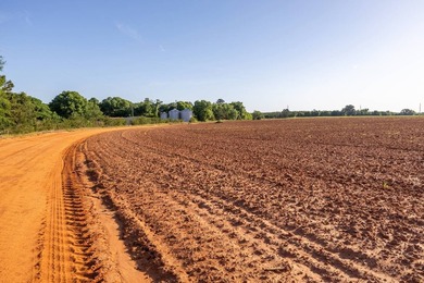 750+/- acre multi-generational farm in Clay County, Georgia - photo 9