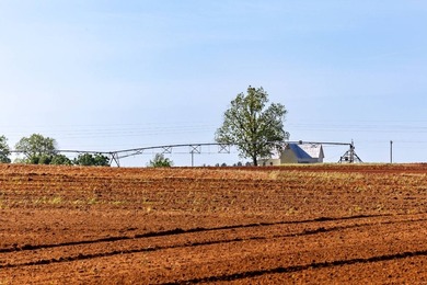 750+/- acre multi-generational farm in Clay County, Georgia - photo 10