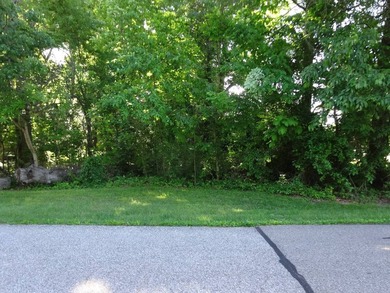 Beautiful building spot for sale, Lot # 193, in the well known - photo 11