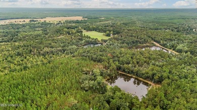 (private lake, pond, coastal) Lot For Sale in Lucedale Mississippi