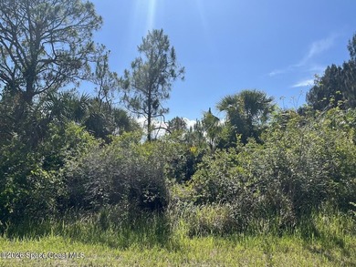 Discover an excellent opportunity to secure a .23-acre high and - photo 1