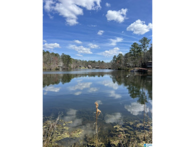 Shechi Lakes Lot Sale Pending in Montevallo Alabama