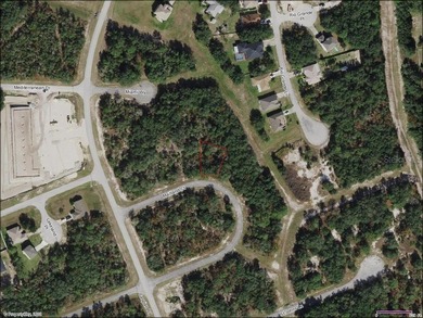 Lake Marion - Polk County Lot For Sale in Poinciana Florida